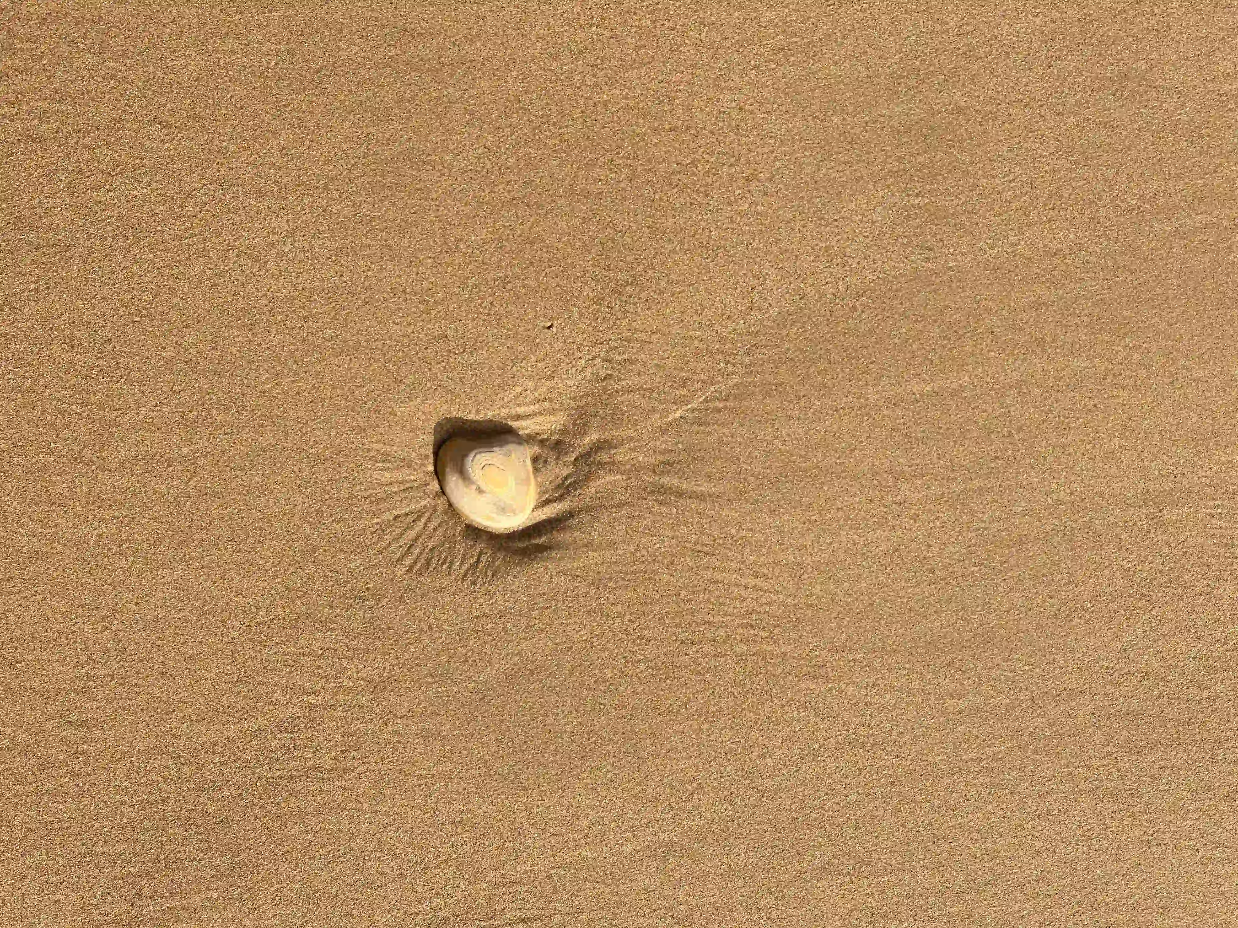 Leistungen Expertise